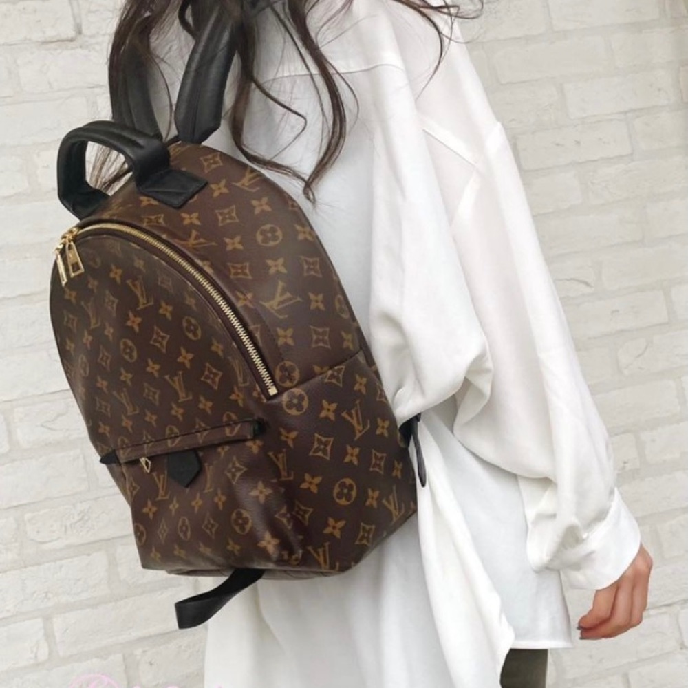 Louis Vuitton Palm Springs MM monogram backpack - Picture 1 of 15